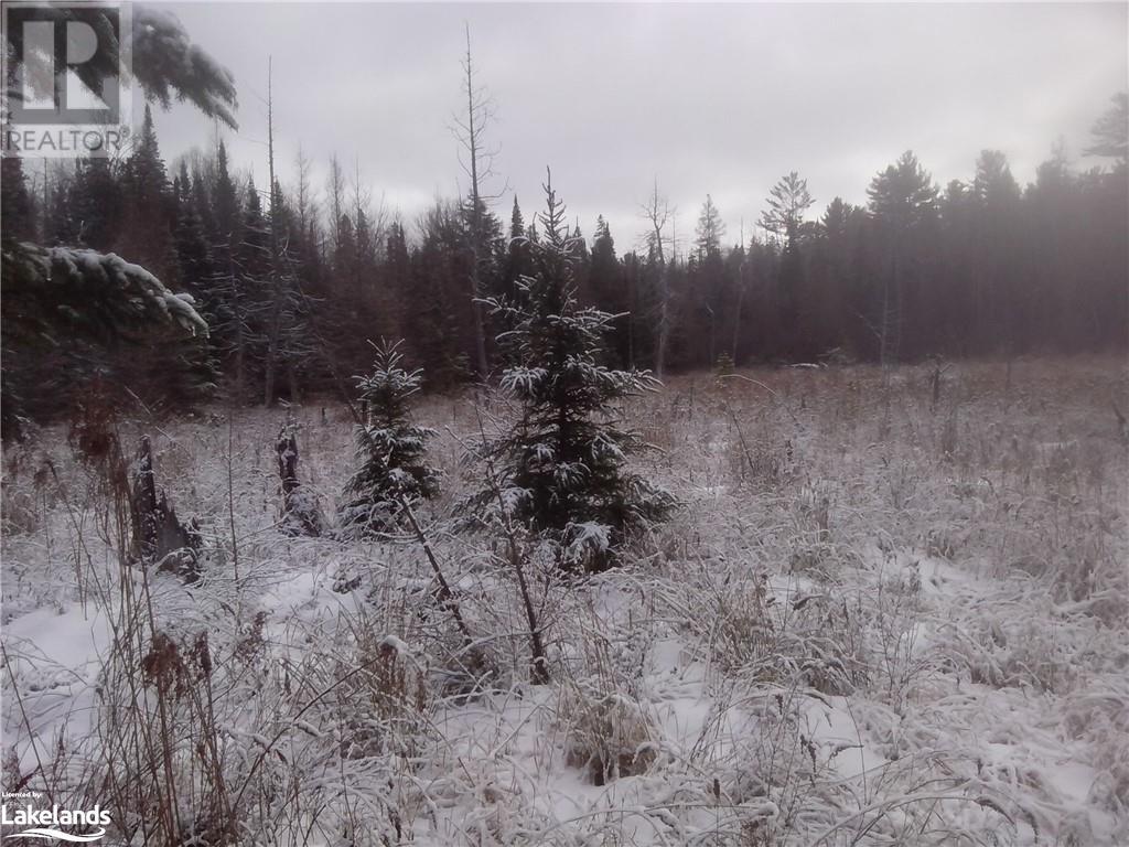 Lot 20 Concession 5 Road, Newholm, Ontario  P1H 2J3 - Photo 5 - 40509731