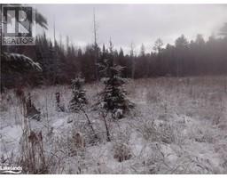 LOT 20 CONCESSION 5 Road