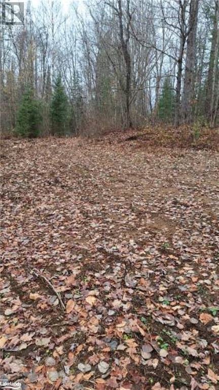 Lot 20 Concession 5 Road, Newholm, Ontario  P1H 2J3 - Photo 11 - 40509731
