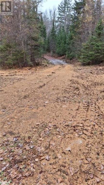 Lot 20 Concession 5 Road, Newholm, Ontario  P1H 2J3 - Photo 7 - 40509731