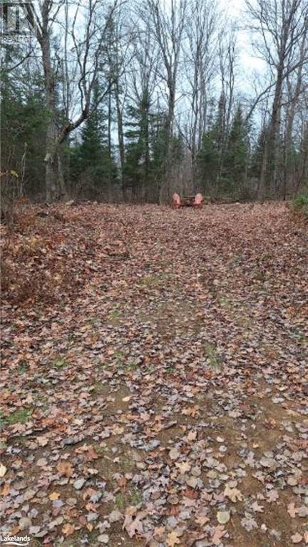 Lot 20 Concession 5 Road, Newholm, Ontario  P1H 2J3 - Photo 10 - 40509731