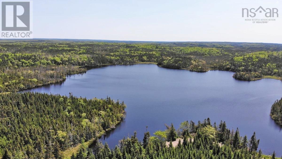 Salmon River Road, Garrets Lake, L'ardoise, Nova Scotia  B0E 3B0 - Photo 14 - 202300909