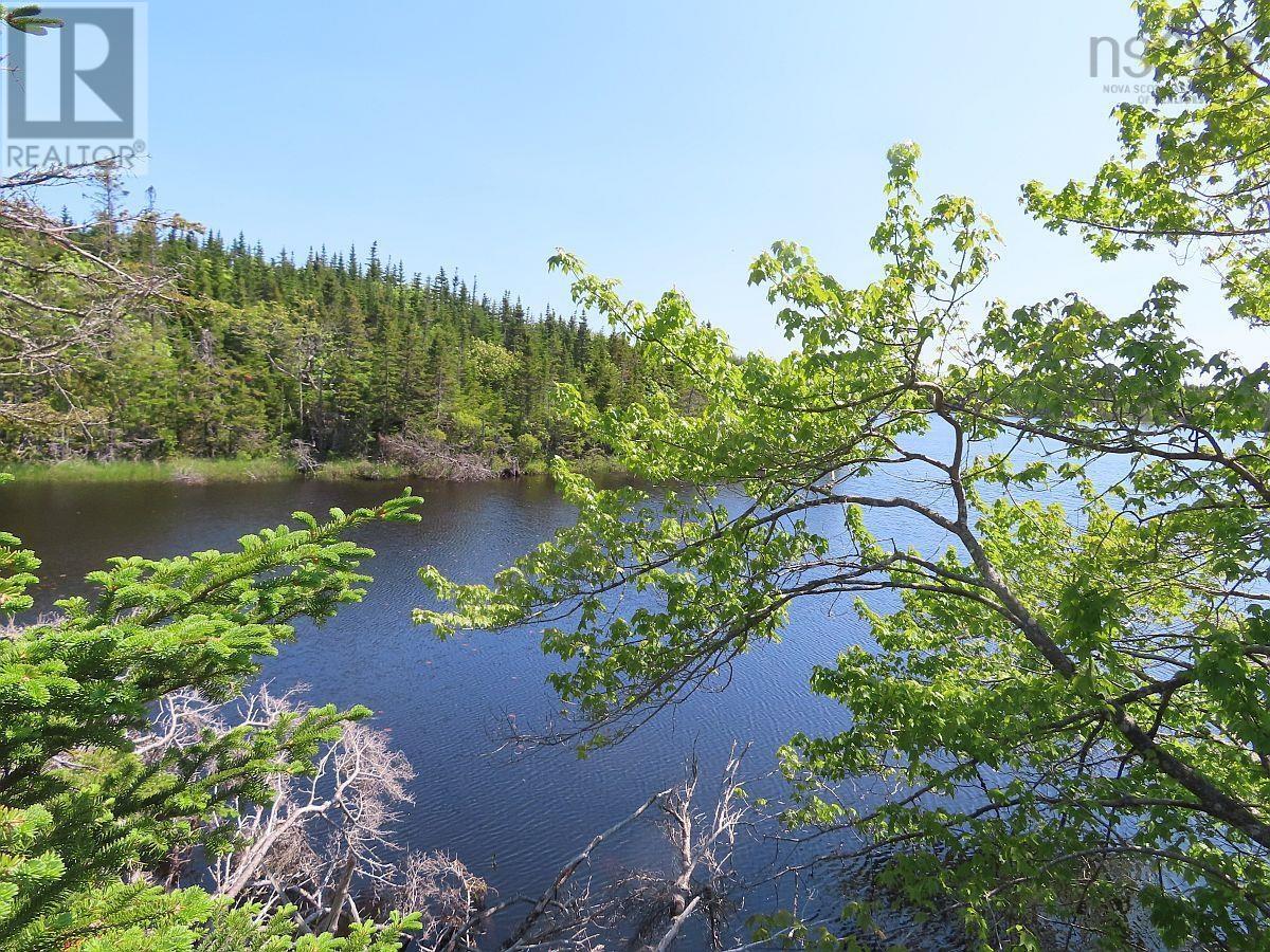 Salmon River Road, Garrets Lake, L'ardoise, Nova Scotia  B0E 3B0 - Photo 19 - 202300909