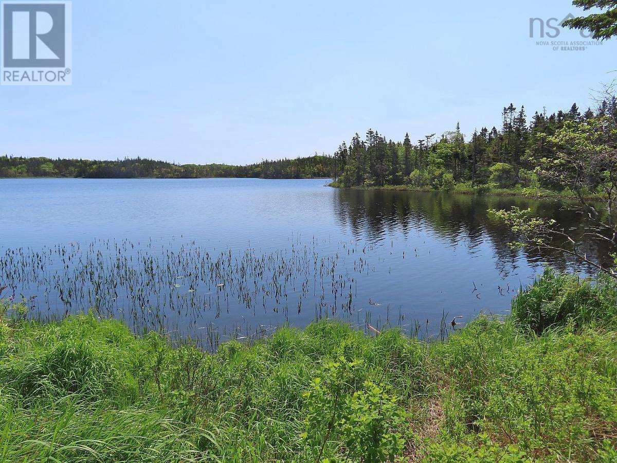 Salmon River Road, Garrets Lake, L'ardoise, Nova Scotia  B0E 3B0 - Photo 20 - 202300909