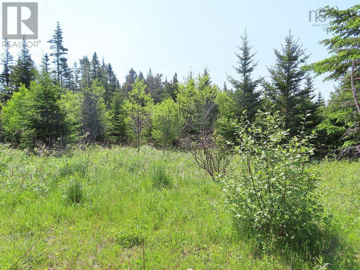 Salmon River Road, Garrets Lake, L'ardoise, Nova Scotia  B0E 3B0 - Photo 23 - 202300909