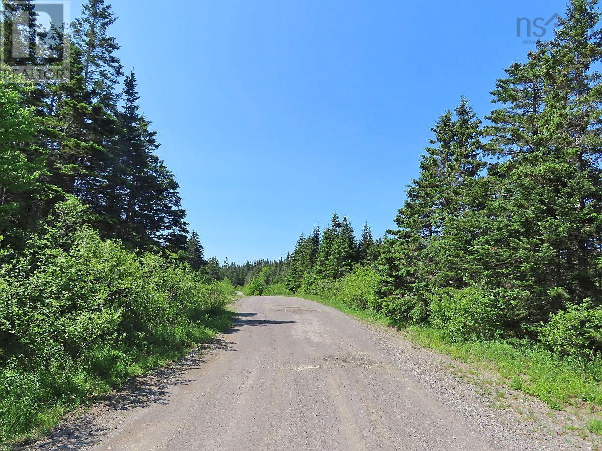 Salmon River Road, Garrets Lake, L'ardoise, Nova Scotia  B0E 3B0 - Photo 24 - 202300909