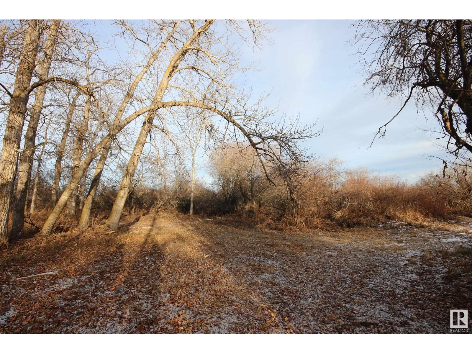 #1 56221 Rge Rd 242, Rural Sturgeon County, Alberta  T0A 0K3 - Photo 69 - E4368300