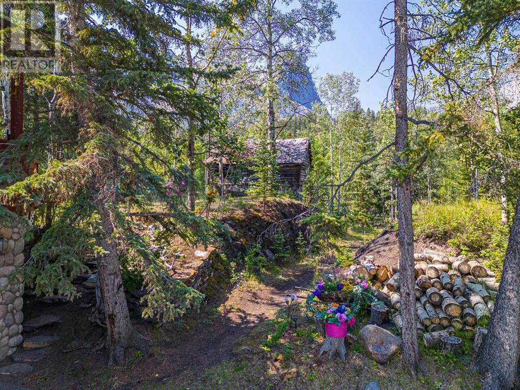 107 Three Sisters Drive, Canmore, Alberta  T1W 2M3 - Photo 14 - A2071413