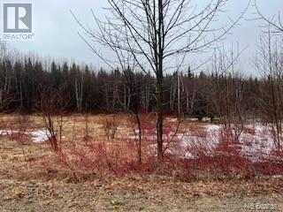 Lot 32 Plan 1531 Birch Street, harvey, New Brunswick