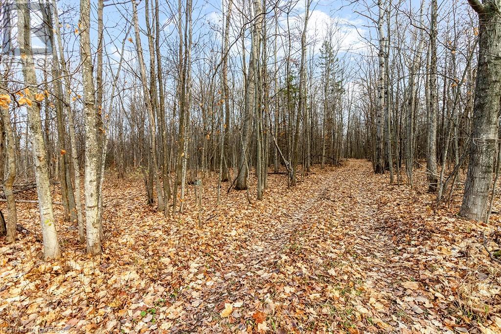 15339 6 Highway, Manitowaning, Ontario  P0P 1N0 - Photo 48 - 40509834