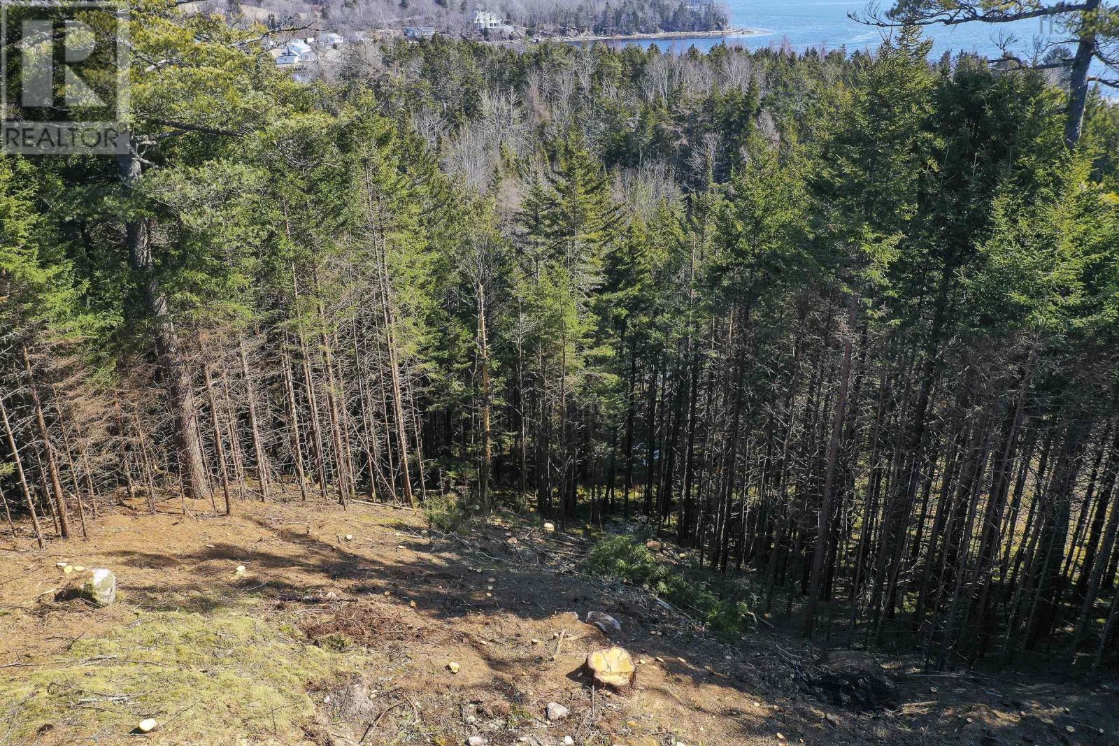 Lot 11 Parker Ridge Road, East Chester, Nova Scotia  B0J 1J0 - Photo 6 - 202306807