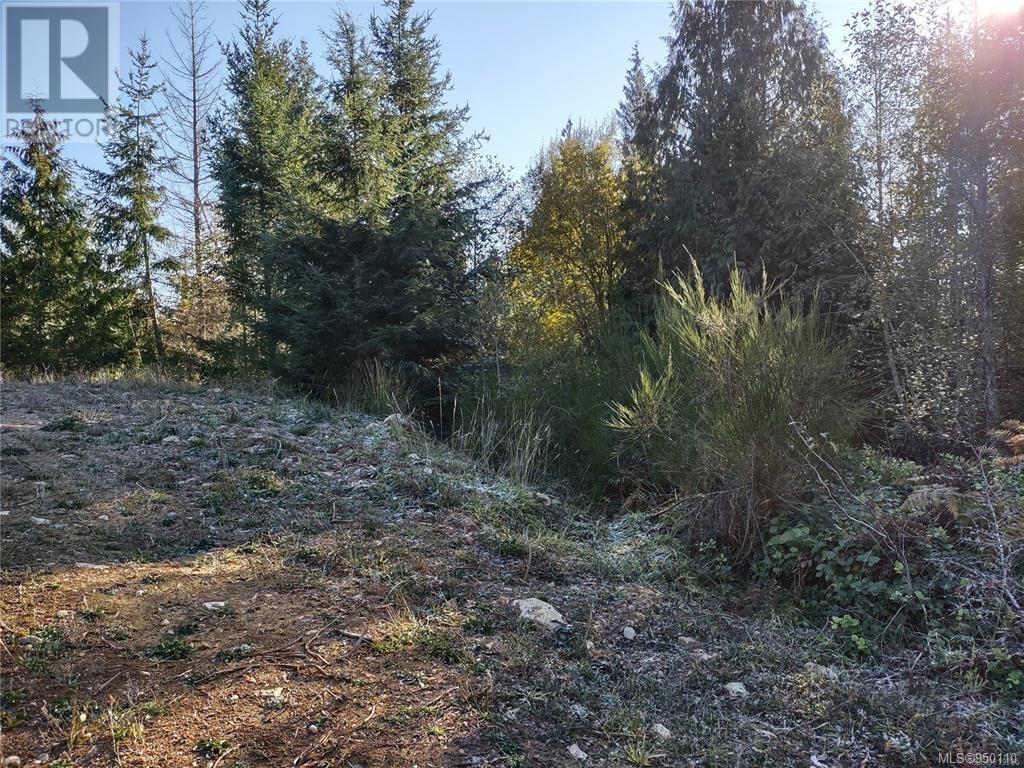 Lot 11 Goldstream Heights Dr, Shawnigan Lake, British Columbia  V0R 2W3 - Photo 12 - 950110