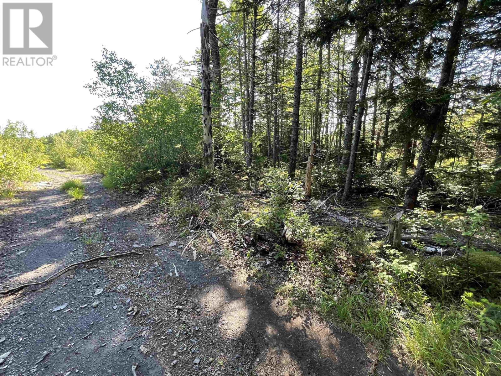 Lot 103 Highway, Hebbville, Nova Scotia  B4V 0E3 - Photo 27 - 202312947