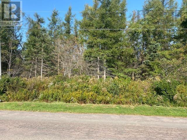 0 Brule Point Road, Brule, Nova Scotia  B0K 1V0 - Photo 3 - 202320600