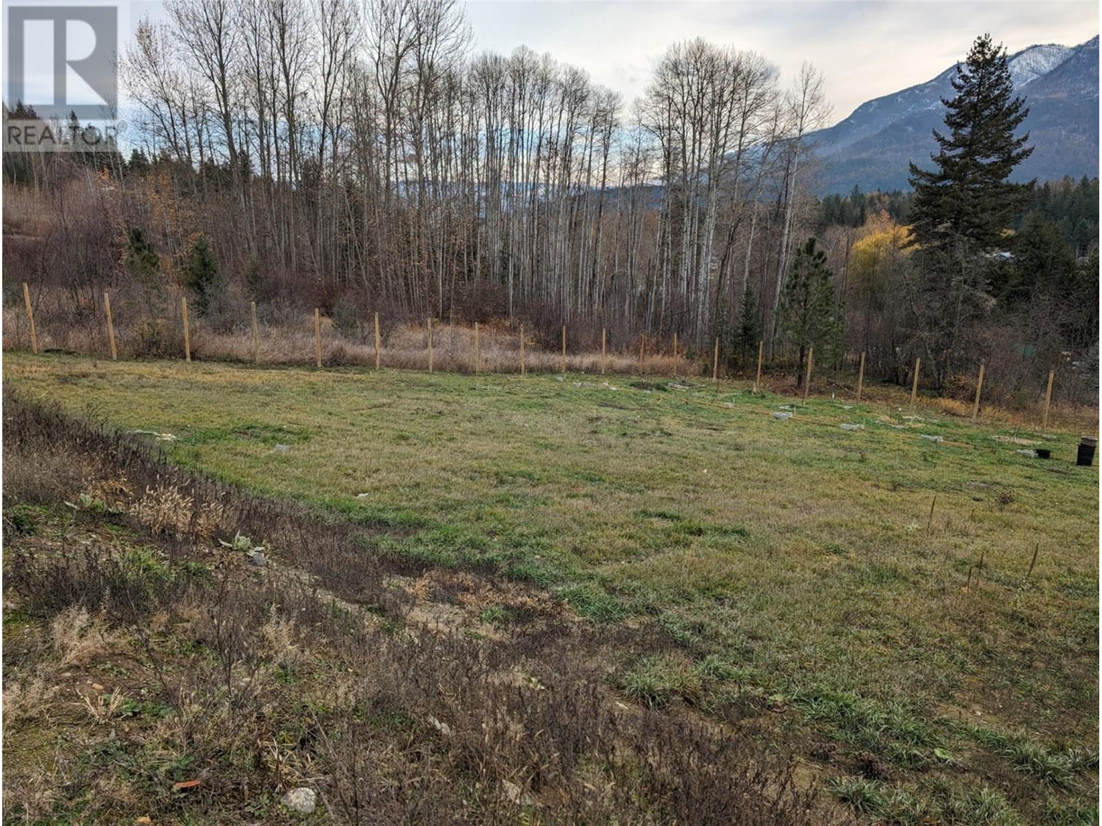 2481 Squilax-Anglemont Road, Lee Creek, British Columbia  V0E 1M4 - Photo 3 - 10300743