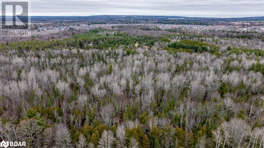 8291 4th Line, Essa Township, Ontario  L0M 1B0 - Photo 30 - 40136065