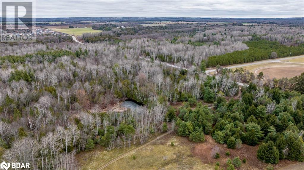 8291 4th Line, Essa Township, Ontario  L0M 1B0 - Photo 13 - 40136065