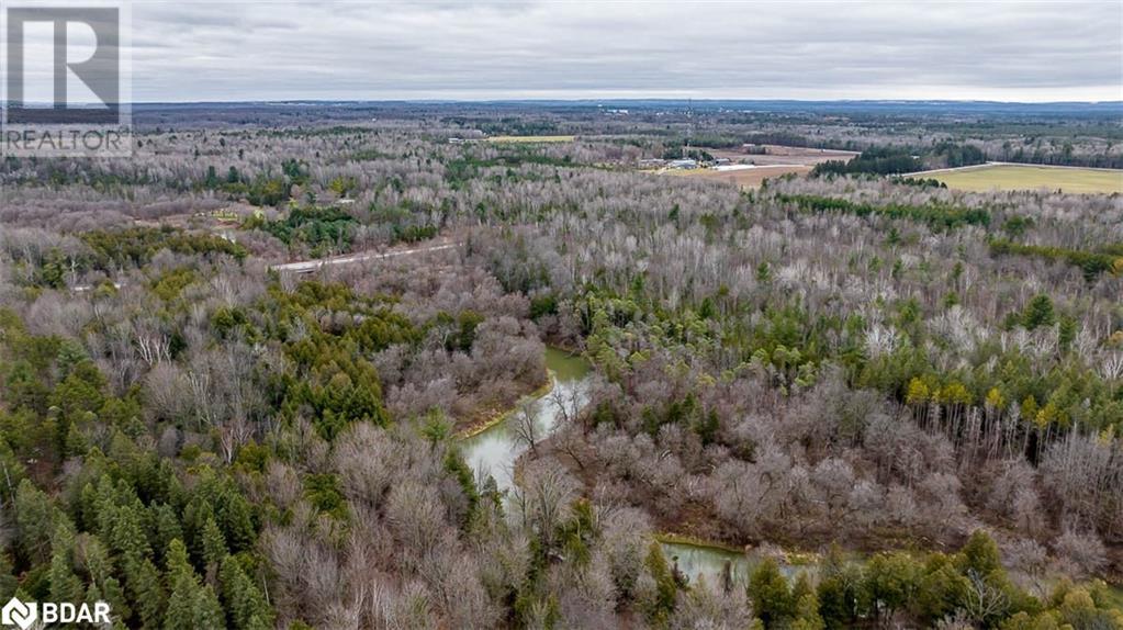 8291 4th Line, Essa Township, Ontario  L0M 1B0 - Photo 12 - 40136065