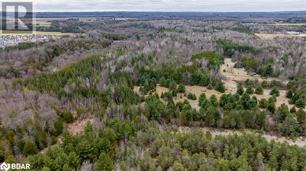 8291 4th Line, Essa Township, Ontario  L0M 1B0 - Photo 29 - 40136065