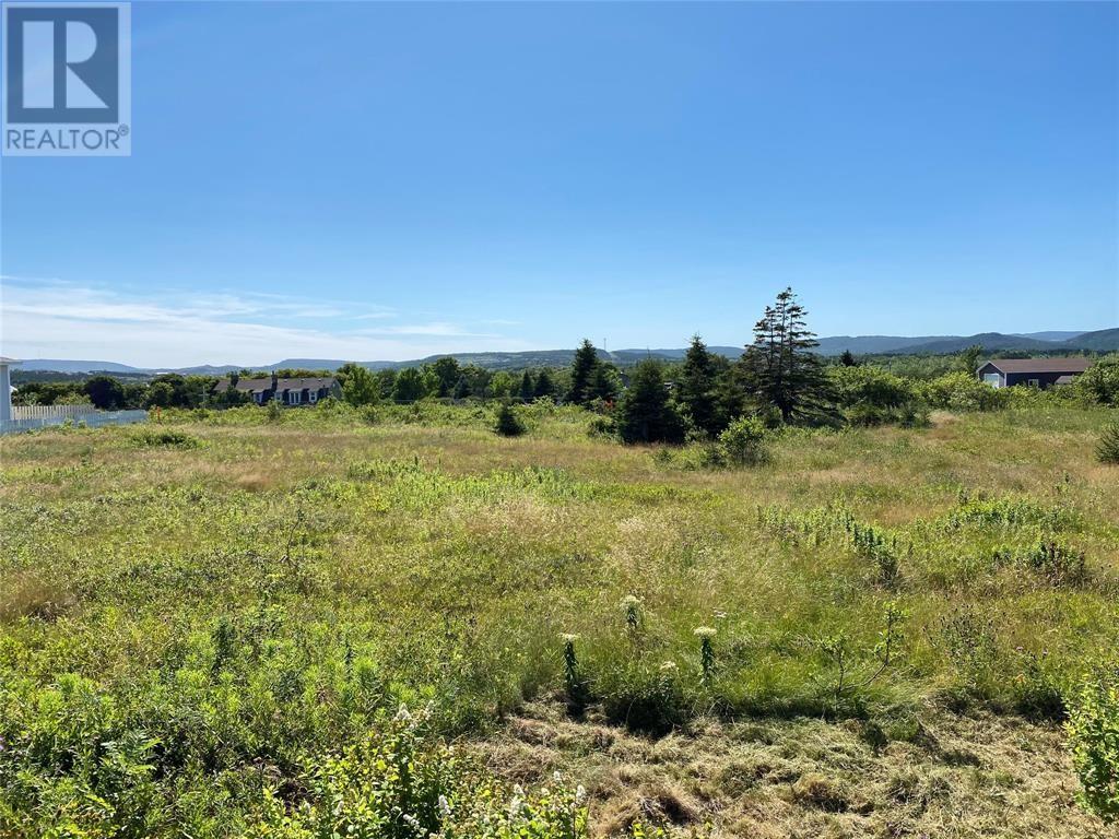 5 Hardings Lane, Bay Roberts, A0A1G0, ,Vacant land,For sale,Hardings,1246116