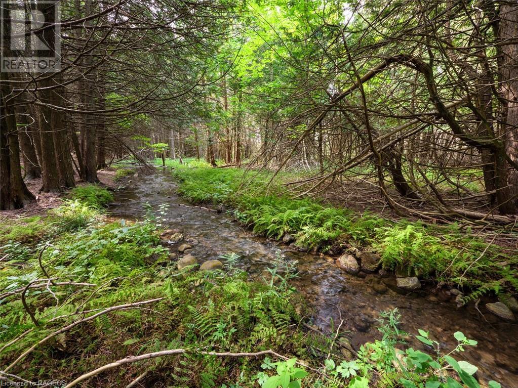 403288 Grey Road 4 Road, West Grey, Ontario  N0G 1R0 - Photo 4 - 40478113