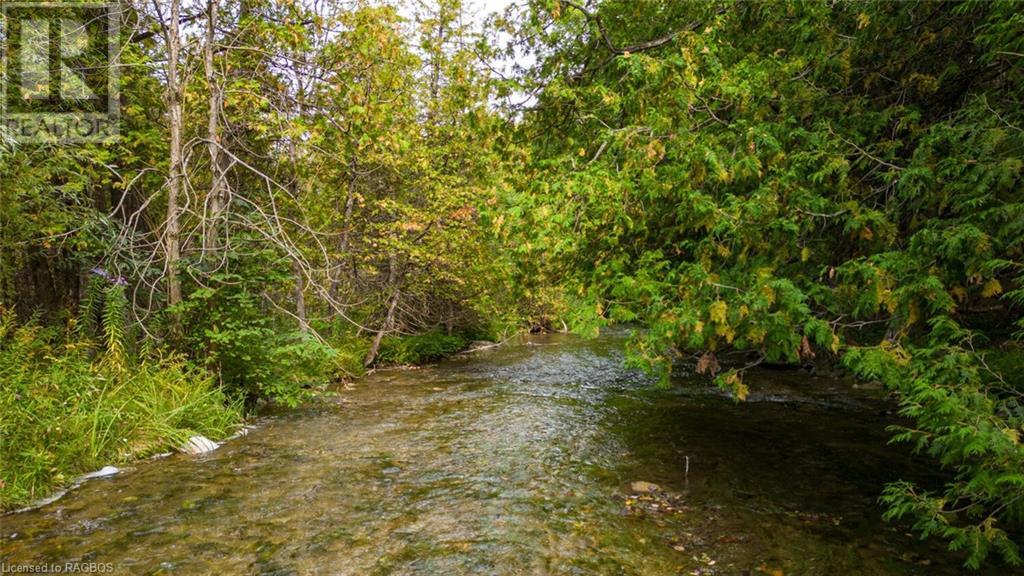 403288 Grey Road 4 Road, West Grey, Ontario  N0G 1R0 - Photo 40 - 40478113