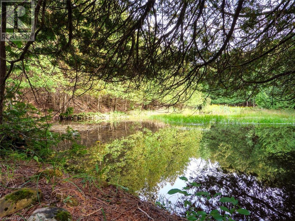 403288 Grey Road 4 Road, West Grey, Ontario  N0G 1R0 - Photo 39 - 40478113