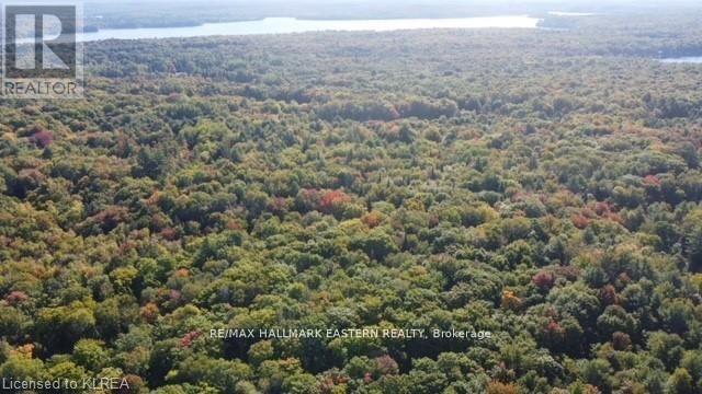 1134 Walkers Line, Algonquin Highlands, Ontario  K0M 2K0 - Photo 21 - X7372530