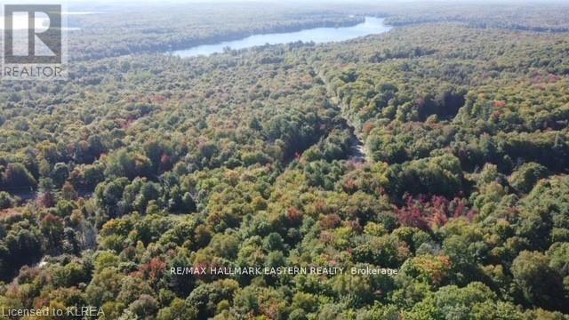 1134 Walkers Line, Algonquin Highlands, Ontario  K0M 2K0 - Photo 30 - X7372530