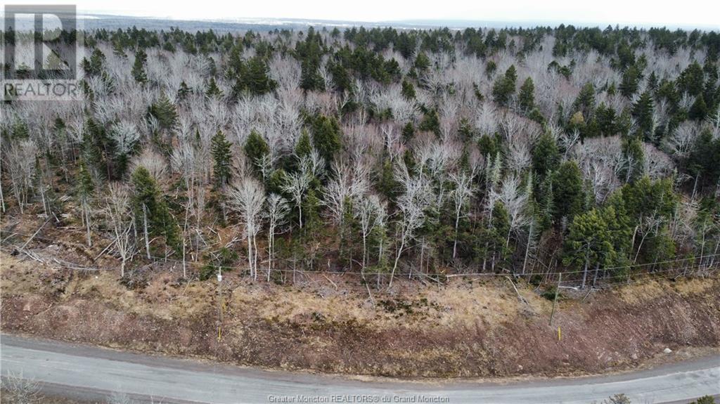 Lot 21-56 Orchard Ave, Irishtown, New Brunswick  E1H 0J5 - Photo 3 - M135545
