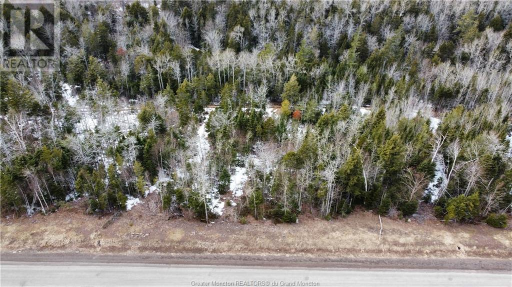 Lot 21-41 Orchard Ave, Irishtown, New Brunswick  E1H 0J5 - Photo 1 - M135562