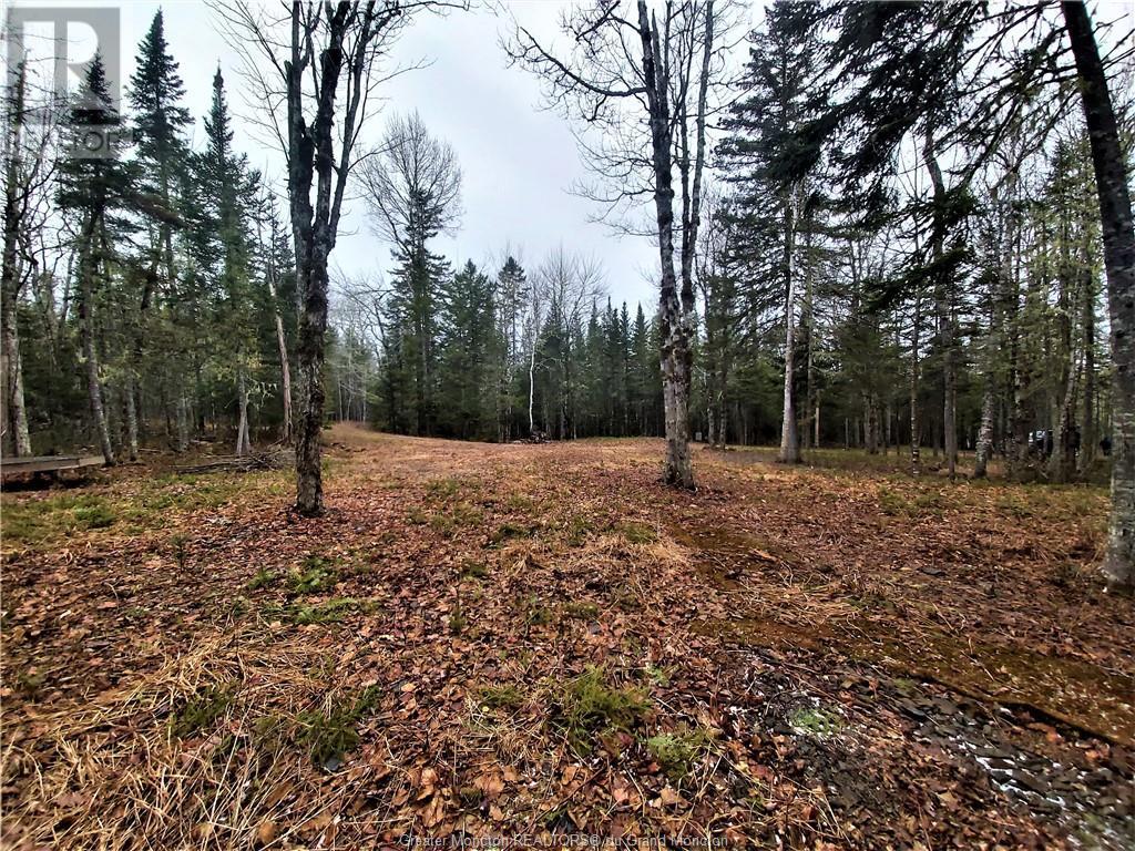 Lot 83-1 Thorne Brook & Brook Rd, Havelock, New Brunswick  E4Z 0G3 - Photo 5 - M149593