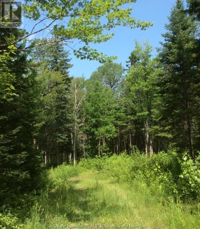 Lot 83-1 Thorne Brook & Brook Rd, Havelock, New Brunswick  E4Z 0G3 - Photo 3 - M149593