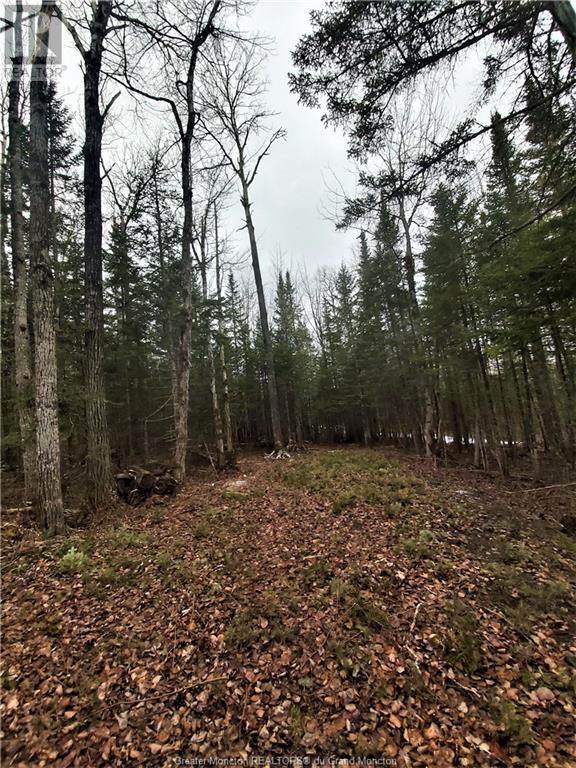 Lot 83-1 Thorne Brook & Brook Rd, Havelock, New Brunswick  E4Z 0G3 - Photo 12 - M149593
