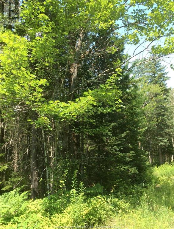 Lot 83-1 Thorne Brook & Brook Rd, Havelock, New Brunswick  E4Z 0G3 - Photo 2 - M149593