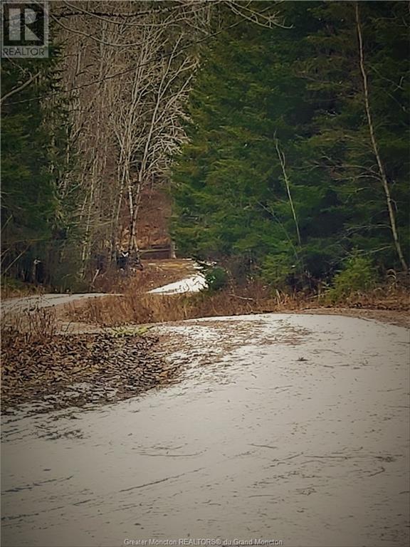 Lot 83-1 Thorne Brook & Brook Rd, Havelock, New Brunswick  E4Z 0G3 - Photo 4 - M149593