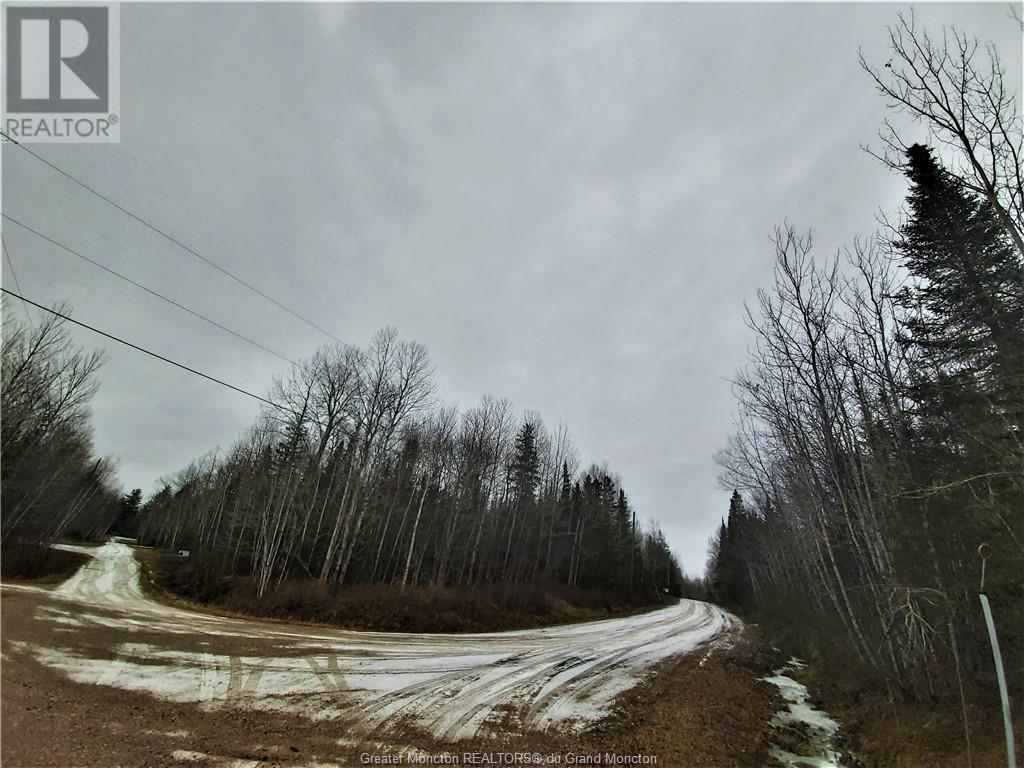 Lot 83-1 Thorne Brook & Brook Rd, Havelock, New Brunswick  E4Z 0G3 - Photo 10 - M149593
