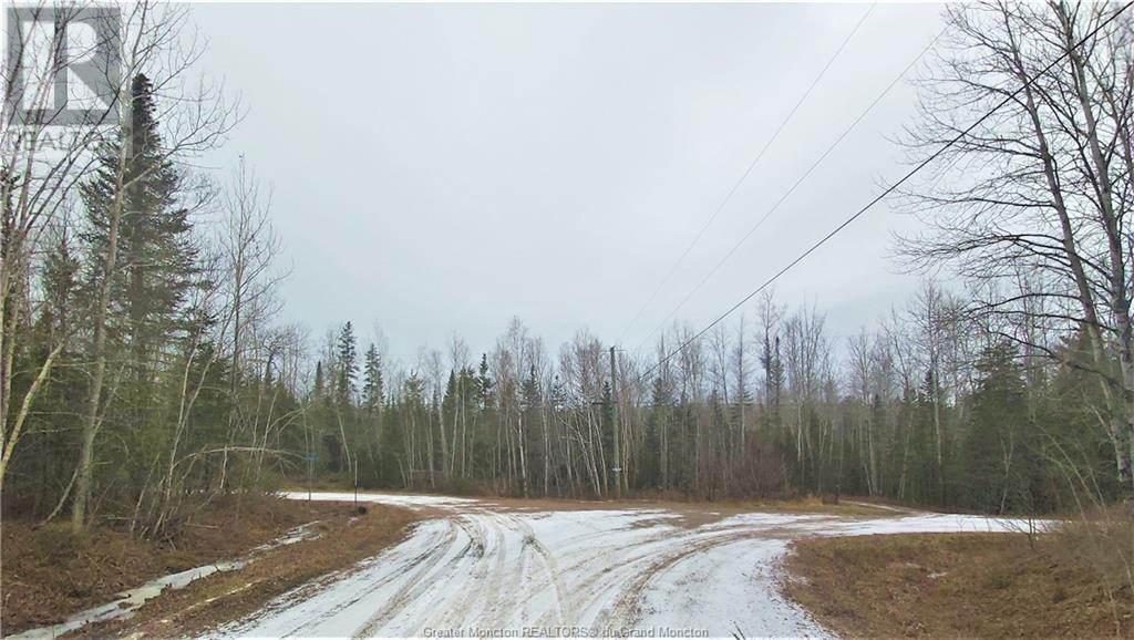 Lot 83-1 Thorne Brook & Brook Rd, Havelock, New Brunswick  E4Z 0G3 - Photo 8 - M149593