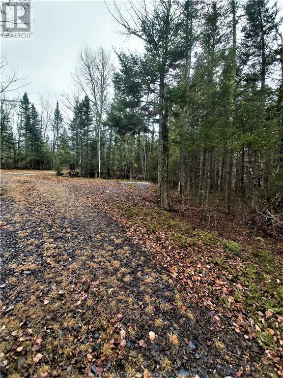 Lot 83-1 Thorne Brook & Brook Rd, Havelock, New Brunswick  E4Z 0G3 - Photo 14 - M149593