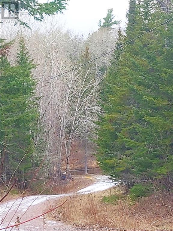 Lot 83-1 Thorne Brook & Brook Rd, Havelock, New Brunswick  E4Z 0G3 - Photo 6 - M149593