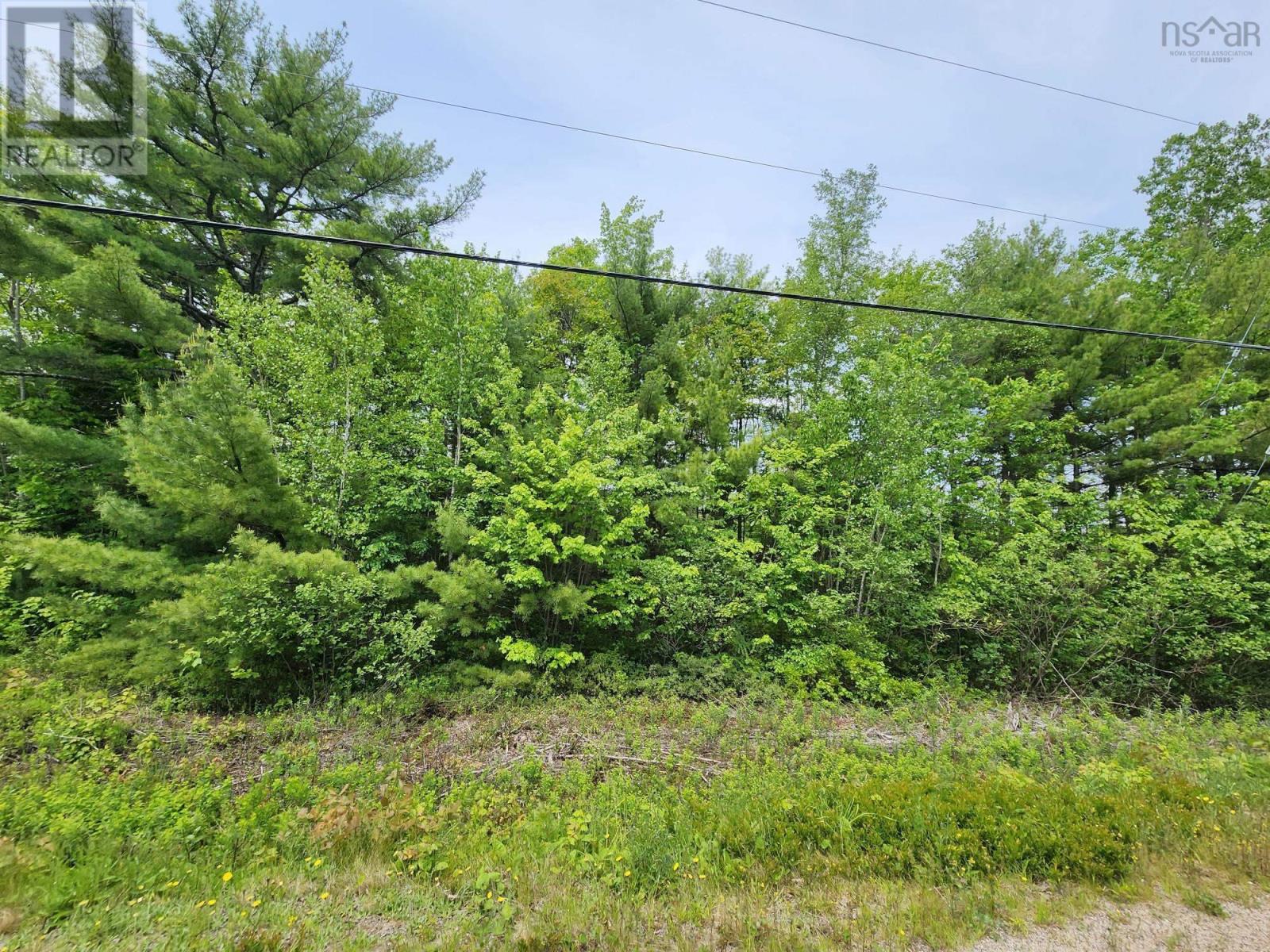 Lot 15 Charlton Road, West Springhill, Nova Scotia  B0S 1A0 - Photo 3 - 202400082