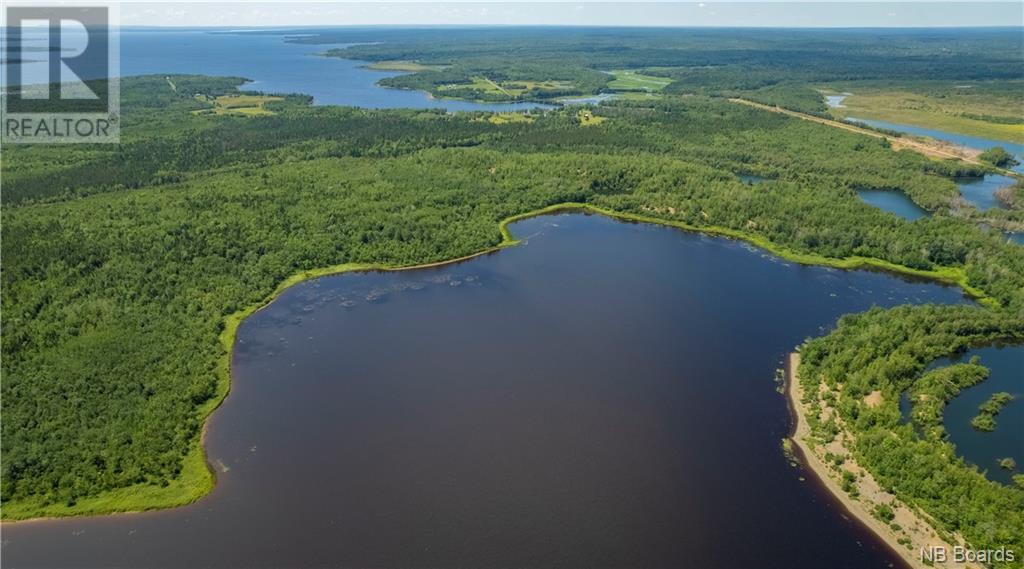 - Lafitte Road, Newcastle Centre, New Brunswick  E4B 2L6 - Photo 19 - NB094623