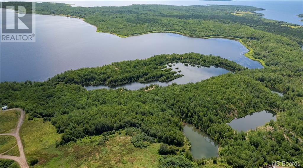- Lafitte Road, Newcastle Centre, New Brunswick  E4B 2L6 - Photo 20 - NB094623