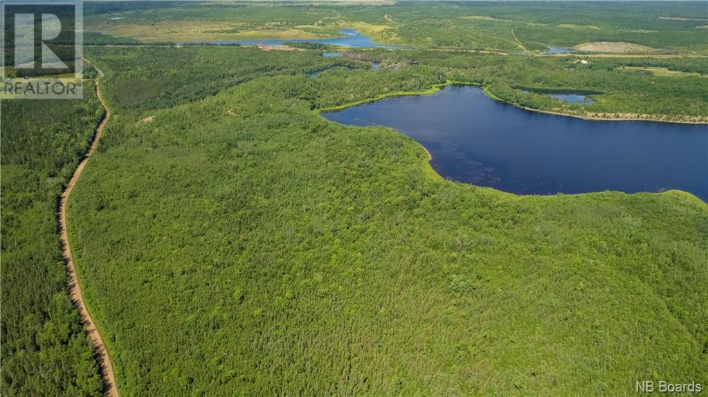 - Lafitte Road, Newcastle Centre, New Brunswick  E4B 2L6 - Photo 15 - NB094623