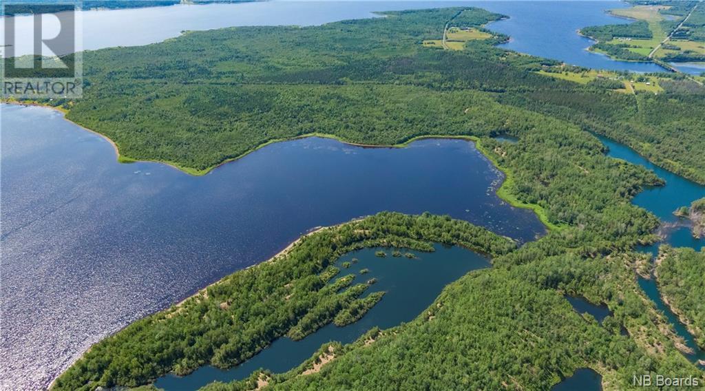- Lafitte Road, Newcastle Centre, New Brunswick  E4B 2L6 - Photo 42 - NB094623