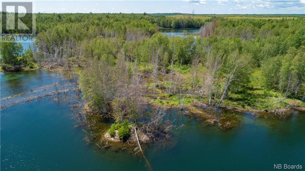 - Lafitte Road, Newcastle Centre, New Brunswick  E4B 2L6 - Photo 48 - NB094623