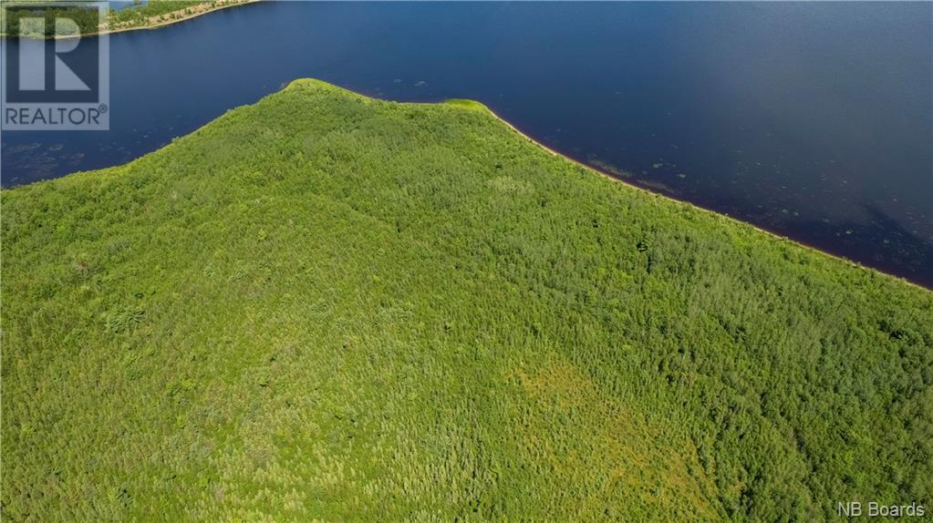 - Lafitte Road, Newcastle Centre, New Brunswick  E4B 2L6 - Photo 16 - NB094623