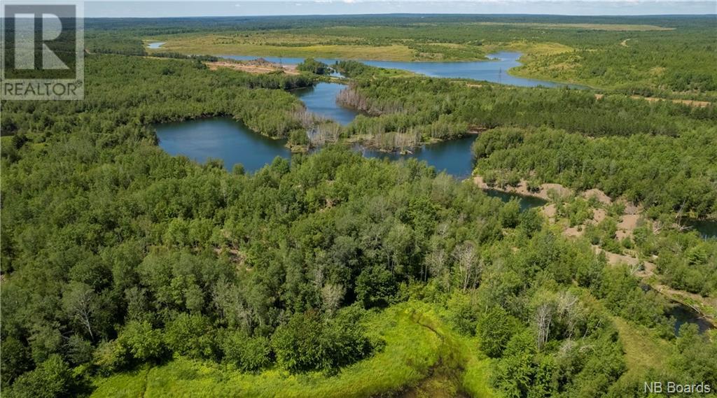 Lafitte Road, Newcastle Centre, New Brunswick  E4B 2L6 - Photo 28 - NB094623