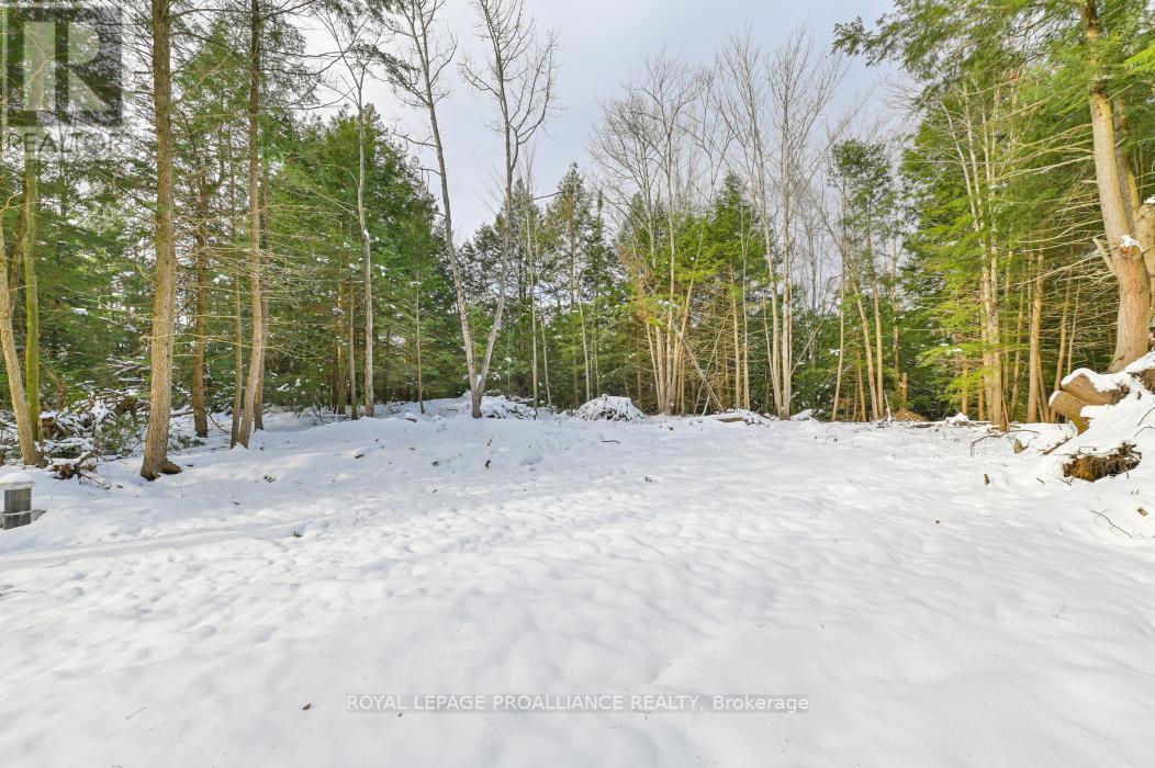 141 Freeburn Road, Addington Highlands, Ontario  K0H 1P0 - Photo 14 - X7375698