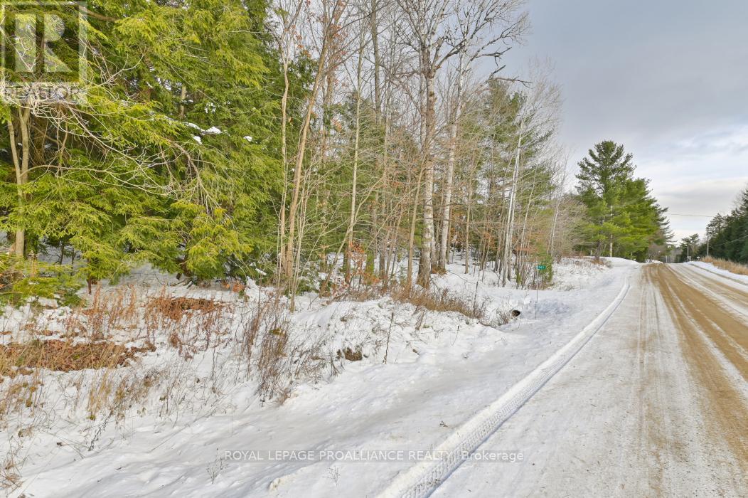 141 Freeburn Road, Addington Highlands, Ontario  K0H 1P0 - Photo 9 - X7375698